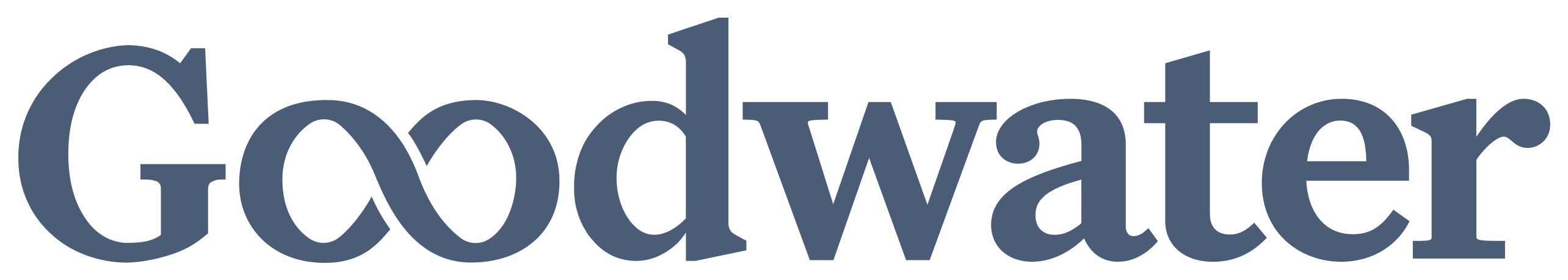 Co-investor